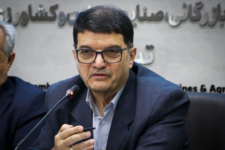 قائم‌مقام وزیر صمت درامور بازرگانی: به‌دنبال ایجاد مسیر شفاف برای تأمین نیازهای ارزی هستیم