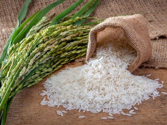 کاهش تولید برنج در کره‌جنوبی