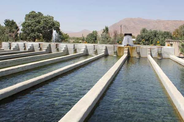 بازار پاکستان، مقصدی برای توسعه صادرات کشاورزی و شیلات ایران
