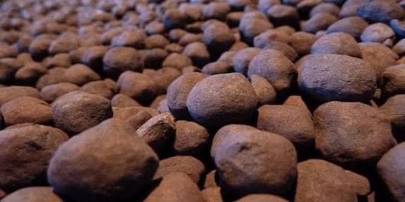 قیمت سازی شرکتها در بورس کالا برای گندله / معاملات با نرخ های بالاتر از جهانی انجام میشود