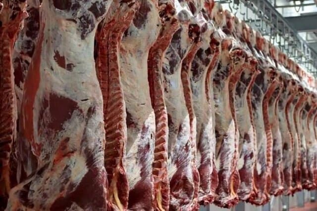 عرضه بیش از ۳۳ هزار تن گوشت در خرداد ماه