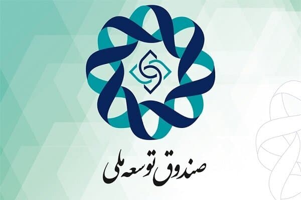 واریز مبالغی از صندوق توسعه ملی به بورس دخالت دولت در بازار سرمایه نیست