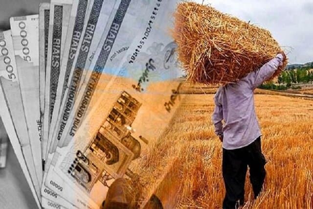 لغو جلسه تعیین نرخ خرید گندم به دلیل اختلاف نظر بخش خصوصی و دولتی
