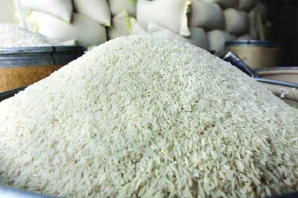 انبارها پر از برنج است و نیازی به واردات نیست