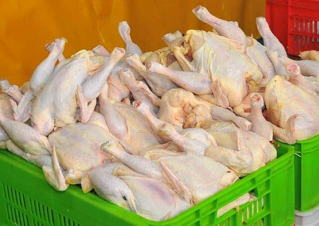 هیچ کمبودی در تولید مرغ و تخم مرغ وجود ندارد