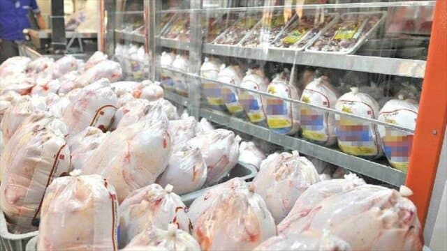 افزایش ۴ درصدی تولید مرغ در سال جاری