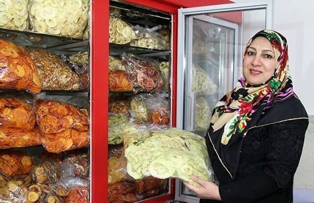 صاحبان مشاغل خانگی از ۴۵ تا ۱۵۰ میلیون تومان وام می‌گیرند؛ سود وام‌ ۴ درصد، بازپرداخت ۷ سال