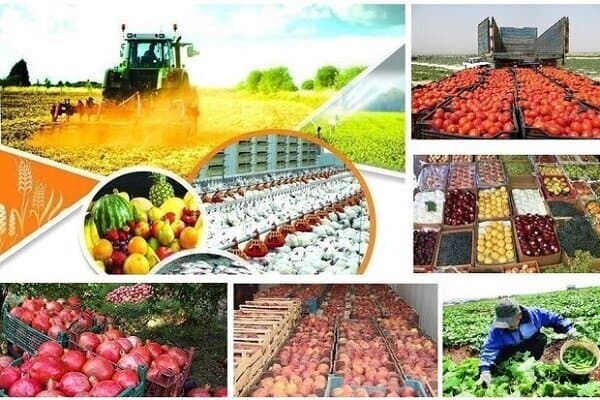 افزایش قیمت محصولات کشاورزی از ۸ تا ۲۰۵ درصد