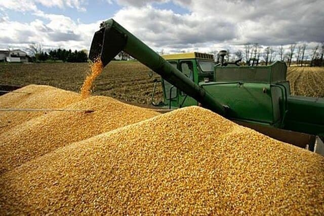 امسال چقدر گندم خارجی خریدیم؟
