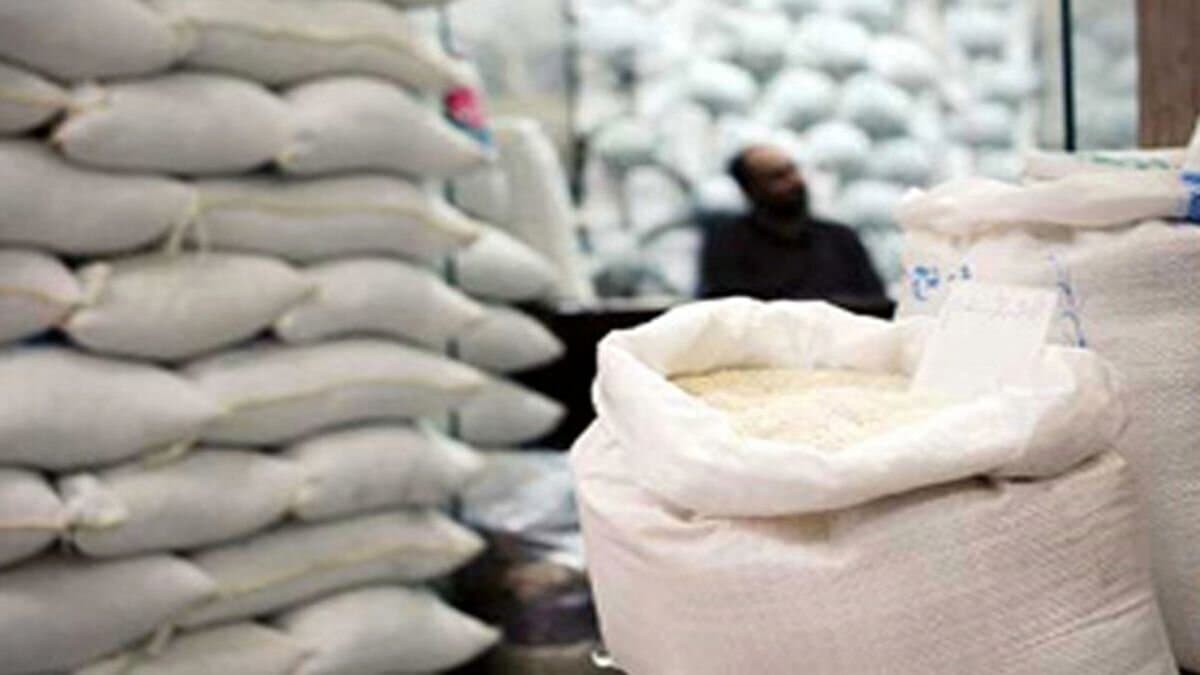 قیمت جهانی برنج در ۲۰۲۵ به کف رسید