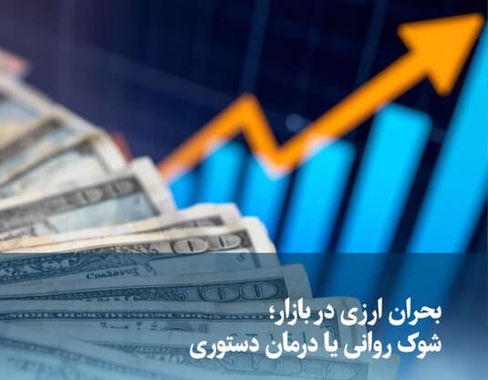 دولت برنامه‌های آتی اقتصادی بعد از حذف ارز ترجیحی را اعلام کند