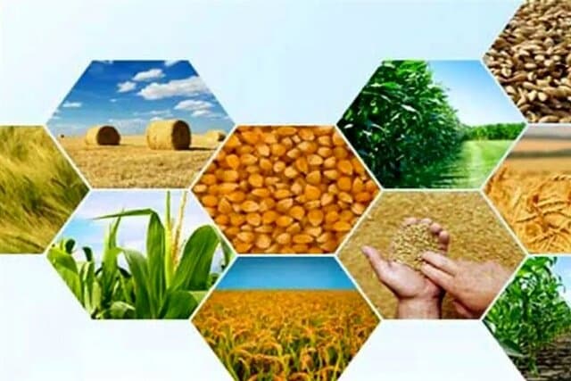 برنامه دولت برای جبران افزایش هزینه تولید در صنعت و کشاورزی