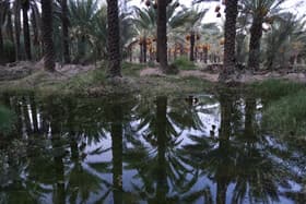 شبکه آبیاری دشتستان اولویت‌دارترین طرح آب‌وخاک کشور است