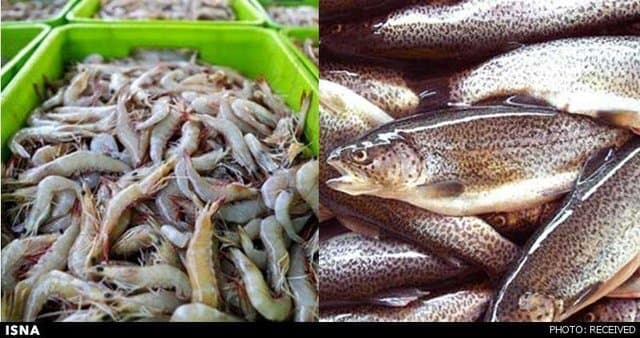 رشد ۱۹ هزار میلیارد تومانی سرمایه‌گذاری در شیلات
