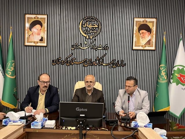 سال زراعی جاری در غرب کشور با ریسک بالای سن‌زدگی گندم مواجه است