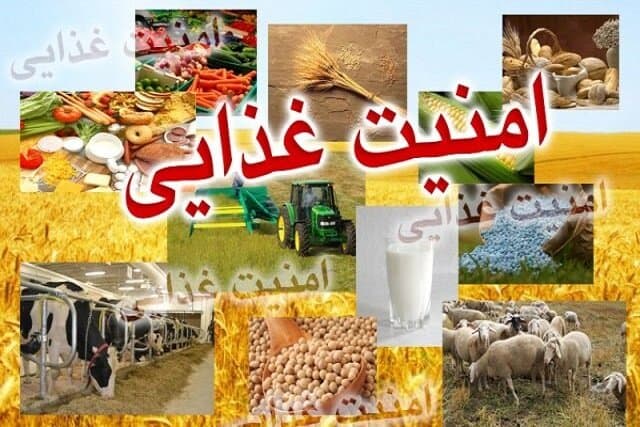 تضمین امنیت غذایی در شرایط جنگ/ تولید فرآورده‌های خام دامی بیش از نیاز مصرف مردم است