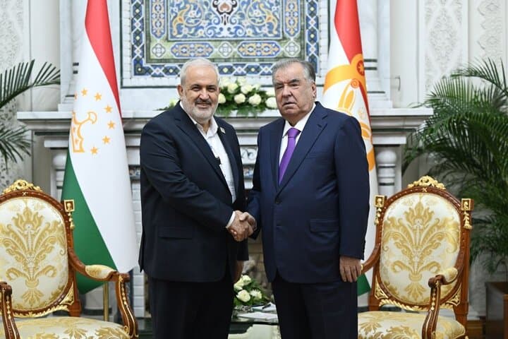 دیدار وزیر نیرو ایران با رئیس جمهور تاجیکستان