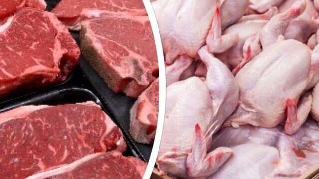 افزایش تاب‌آوری زنجیره‌های تولید گوشت و مرغ در شرایط بحرانی
