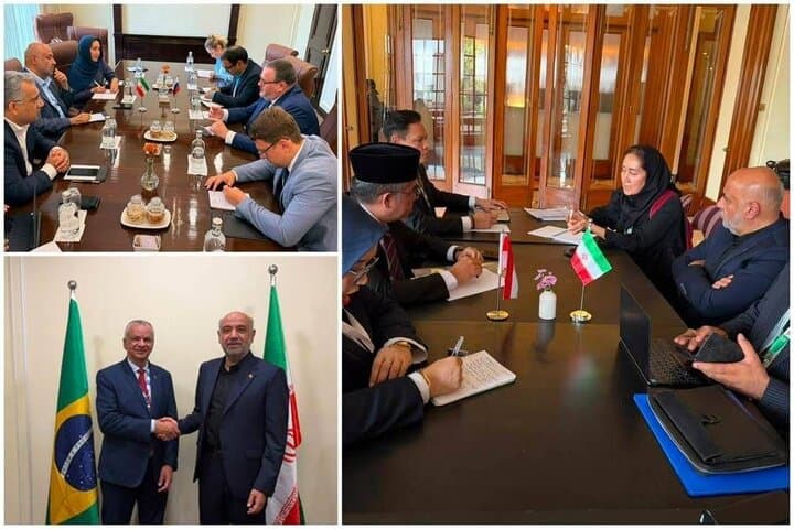 توسعه همکاری‌ها برای اشتغال‌زایی میان ایران با روسیه، اندونزی و برزیل بررسی شد