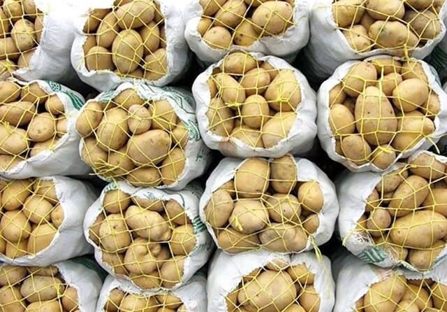 افزایش مصرف داخلی، صادرات سیب‌زمینی را تا پایان سال متوقف کرد