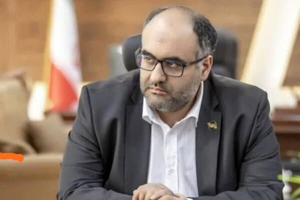 مجتبی حمیدیان سرپرست گروه سرمایه گذاری سپهر صادرات «و سپهر» شد