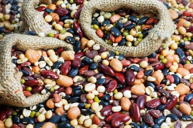 انجمن حبوبات: کالا را فروختیم، ارز نگرفتیم/ واردات باید فوری انجام شود