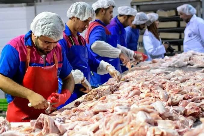 عرضه ۲.۷ میلیون تن گوشت مرغ در بازار مصرف
