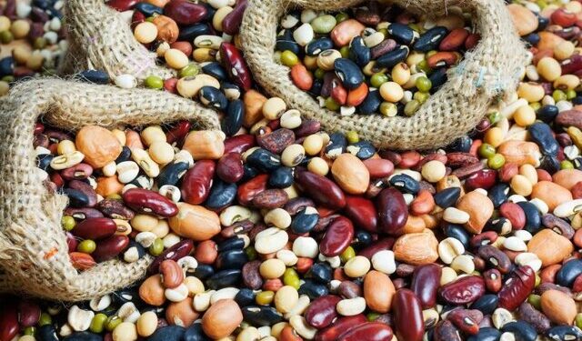 ممنوعیت صادرات حبوبات ابلاغ شد